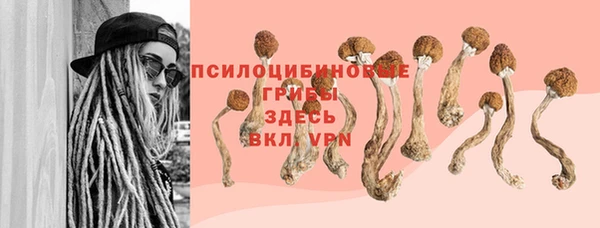 хмурый Абдулино
