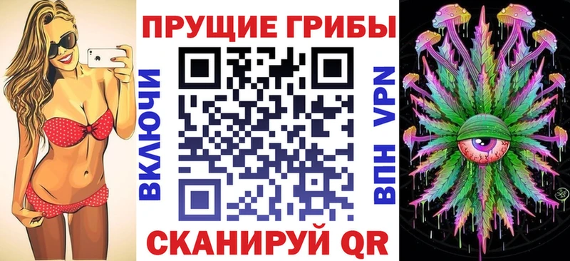 дарк нет клад  Кострома  Псилоцибиновые грибы MAGIC MUSHROOMS 
